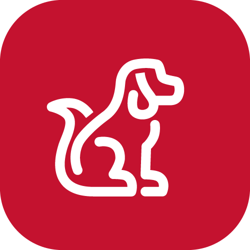 คุ้มครองความล่าช้า<br>ในการเดินทางไปรับสัตว์เลี้ยง